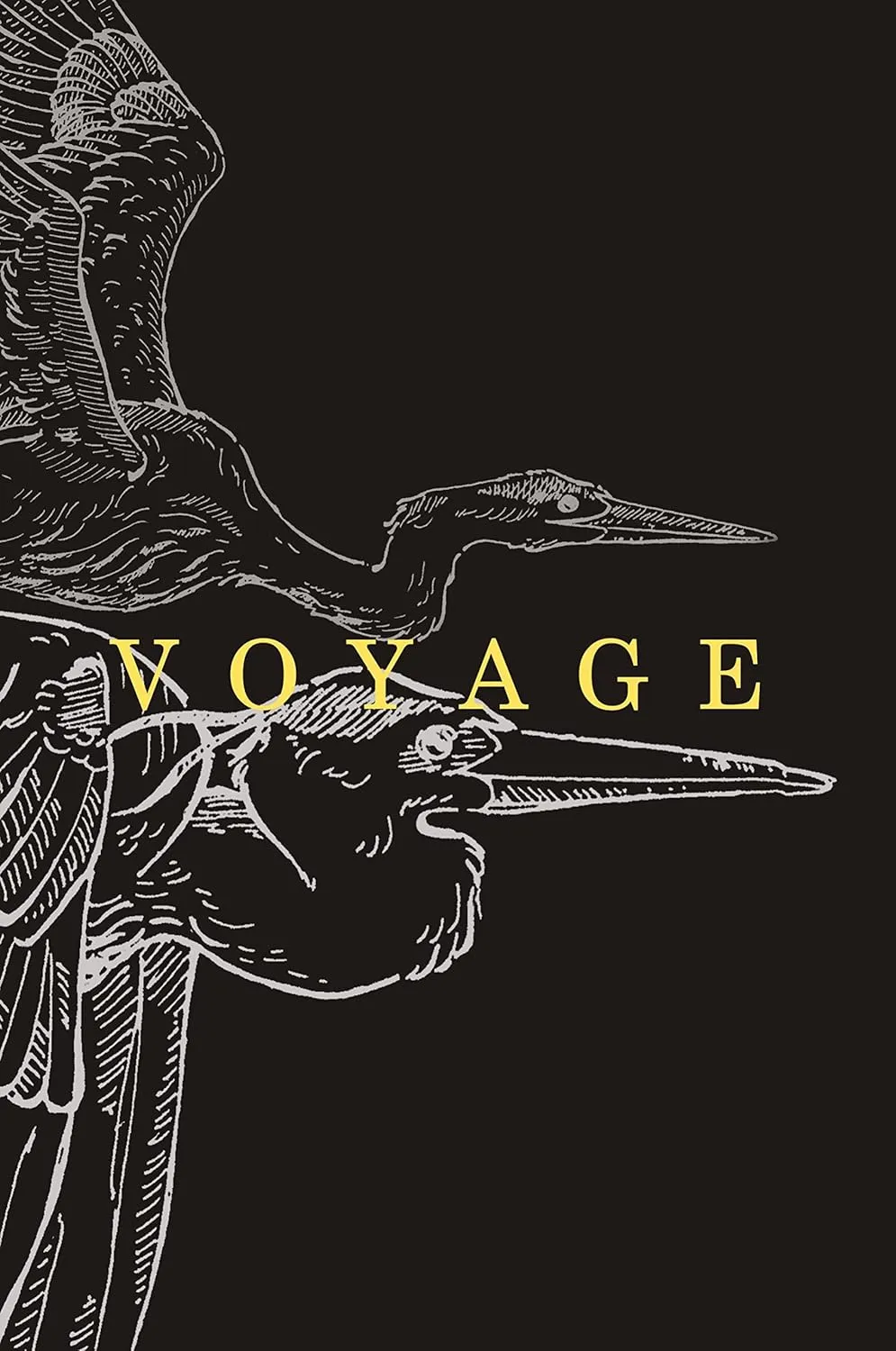 Voyage cover
